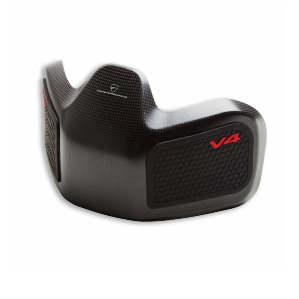 Add-on aus Kohlefaser für den Tank Panigale / Streetfighter V4